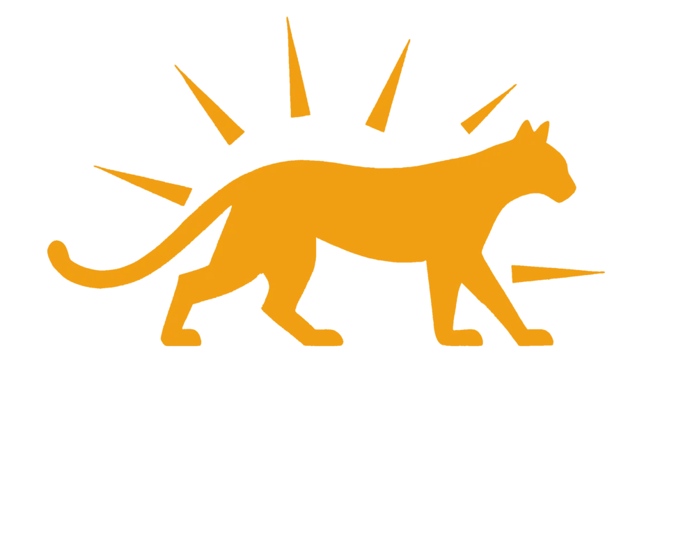 Puma Sunergy Text White