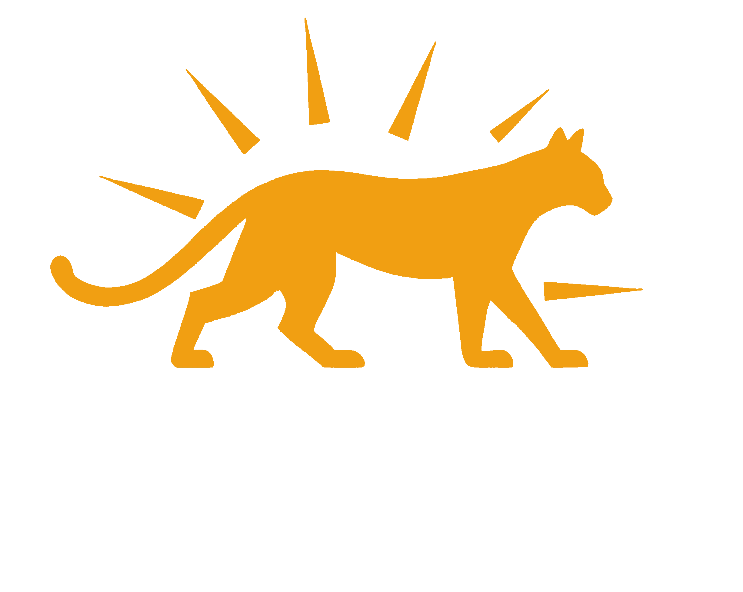Puma Sunergy Text White